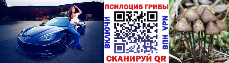Псилоцибиновые грибы ЛСД  где найти   Сольвычегодск 